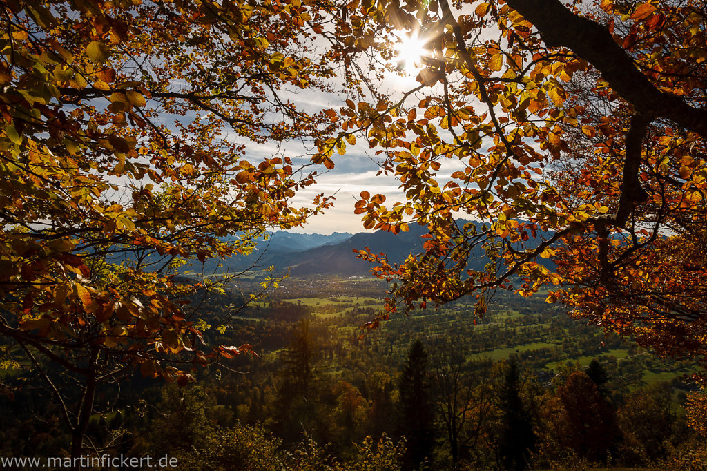 Martin-Fickert-20131019-005.jpg