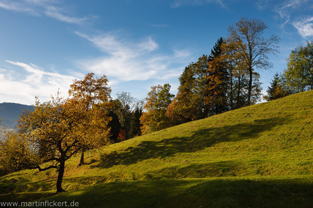 Martin-Fickert-20131019-016.jpg