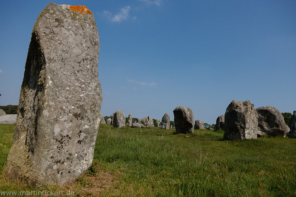 Martin-Fickert-20120611-019.jpg