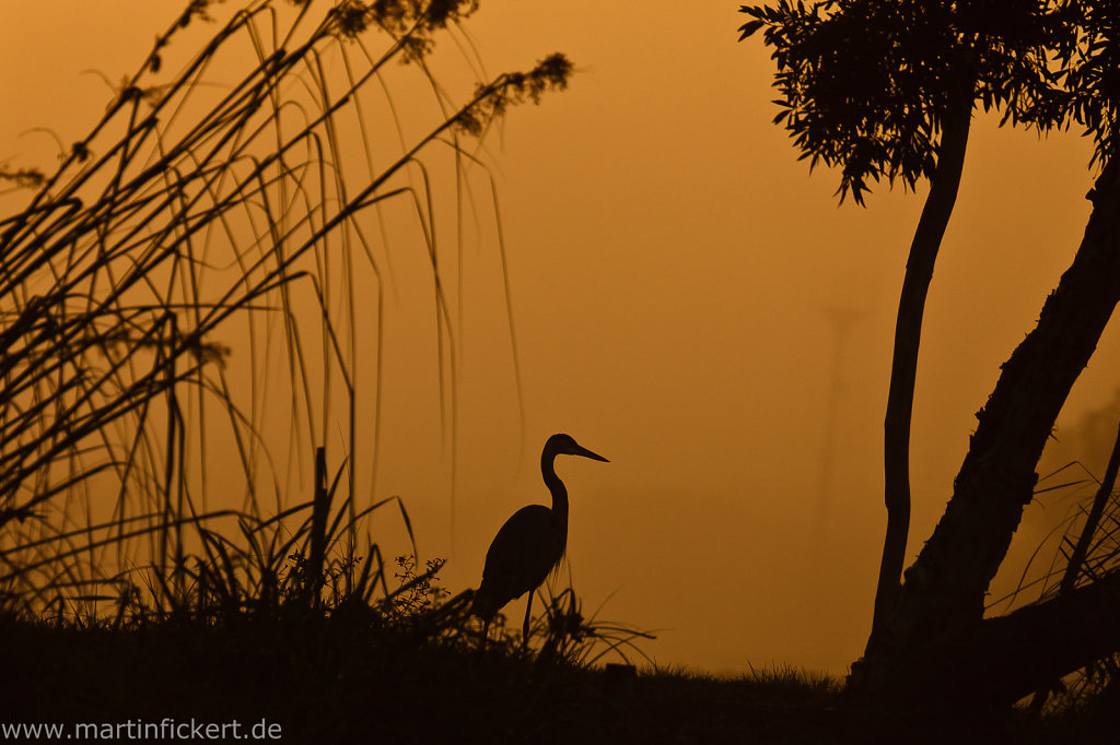 Martin-Fickert-20110423-063.jpg