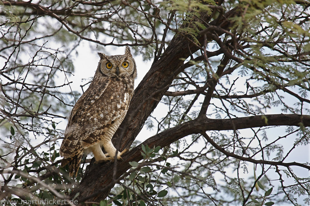 Martin-Fickert-20100606-042.jpg