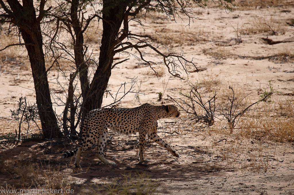 Martin-Fickert-20100606-044.jpg