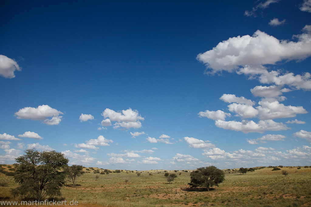 Martin-Fickert-20100606-045.jpg