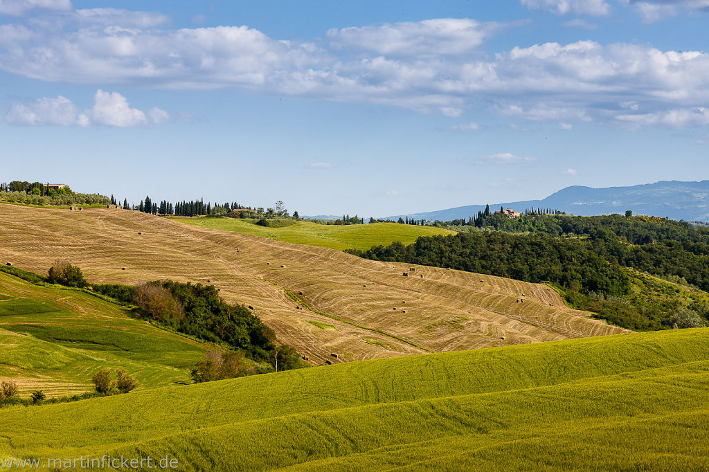 Martin-Fickert-20140612-048.jpg