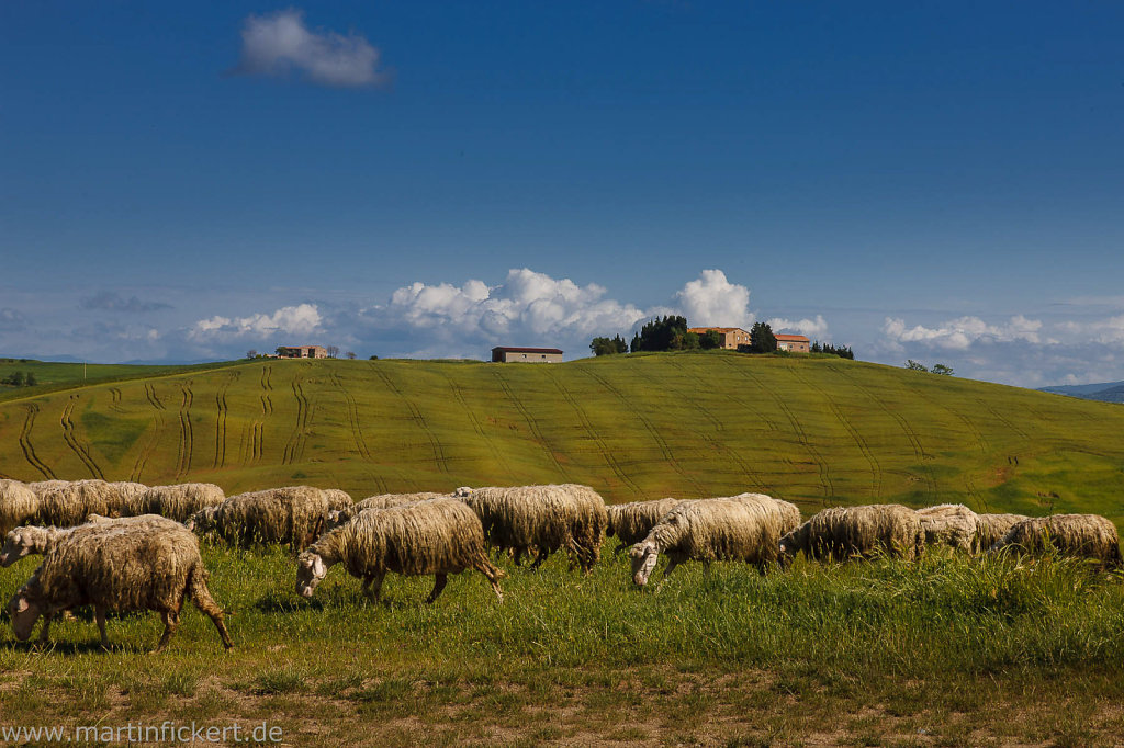 Martin-Fickert-20140526-065.jpg