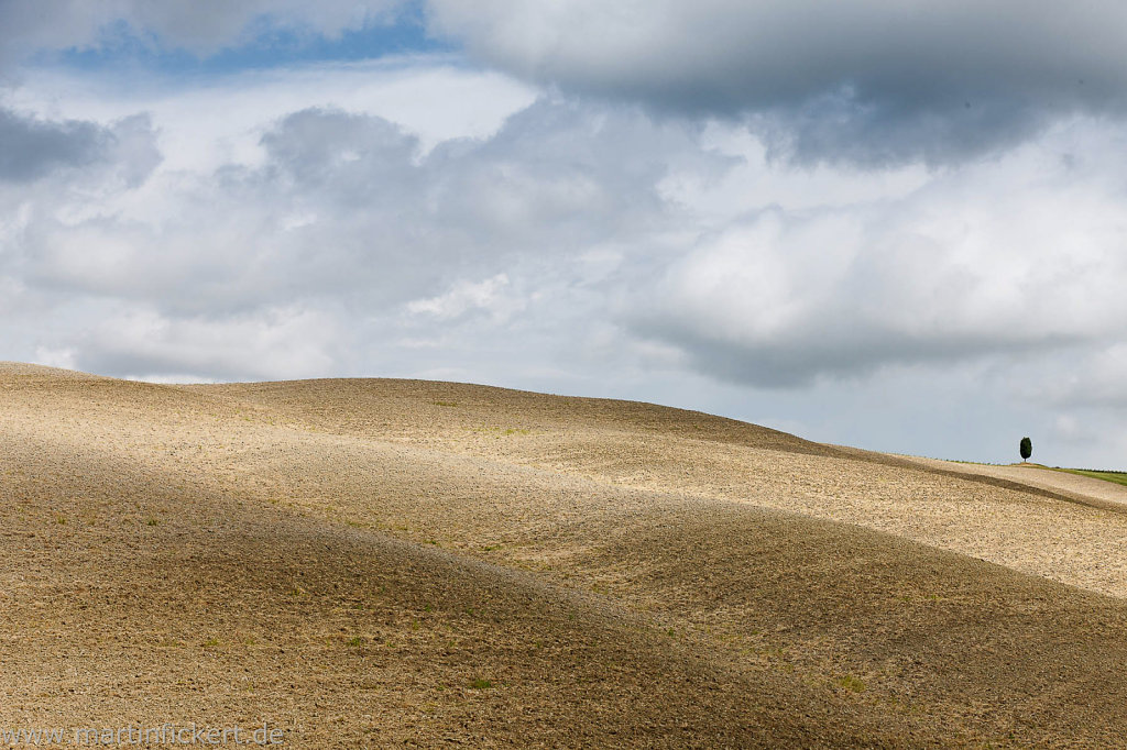 Martin-Fickert-20140527-079.jpg