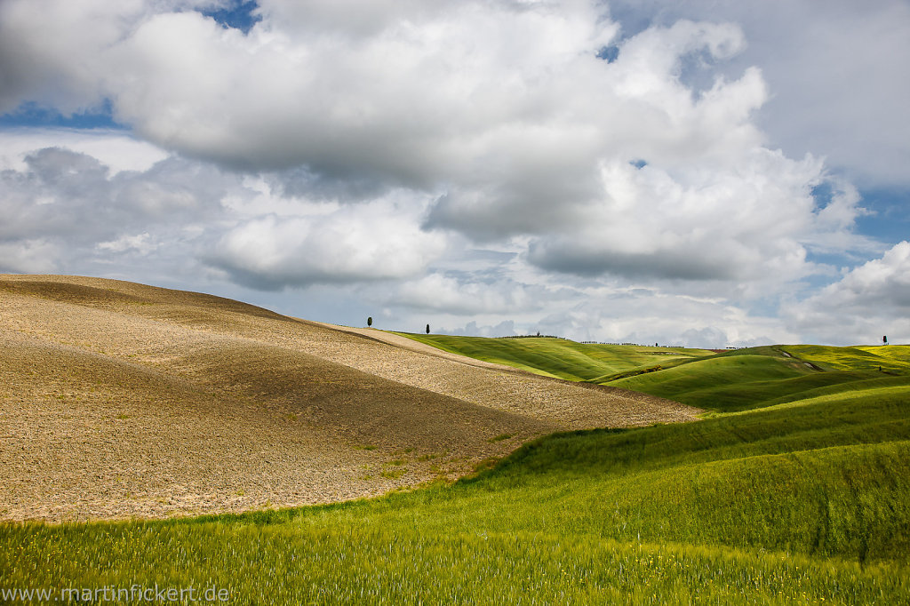 Martin-Fickert-20140620-081.jpg