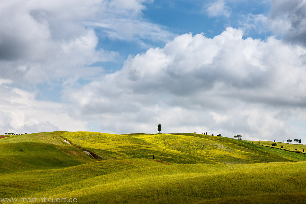 Martin-Fickert-20140620-082.jpg