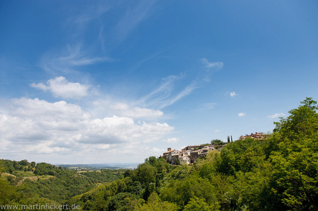 Martin-Fickert-20140530-120.jpg